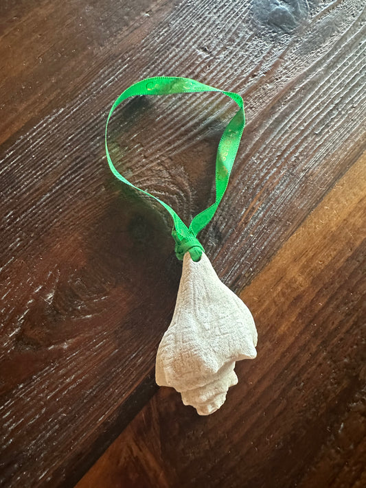 Conch Shell Sand Ornament